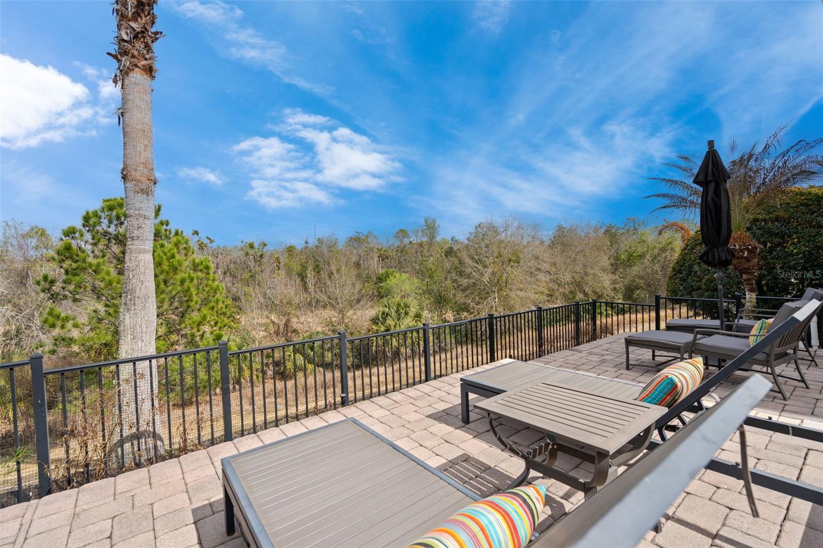 490 MUIRFIELD LOOP, REUNION, FL — photo 48