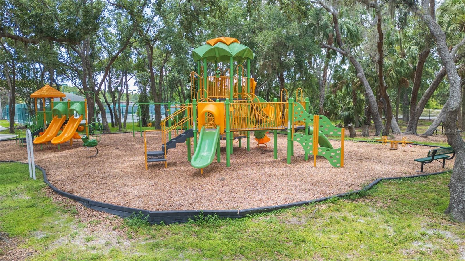 18136 NASSAU POINT DR, TAMPA, FL — photo 25