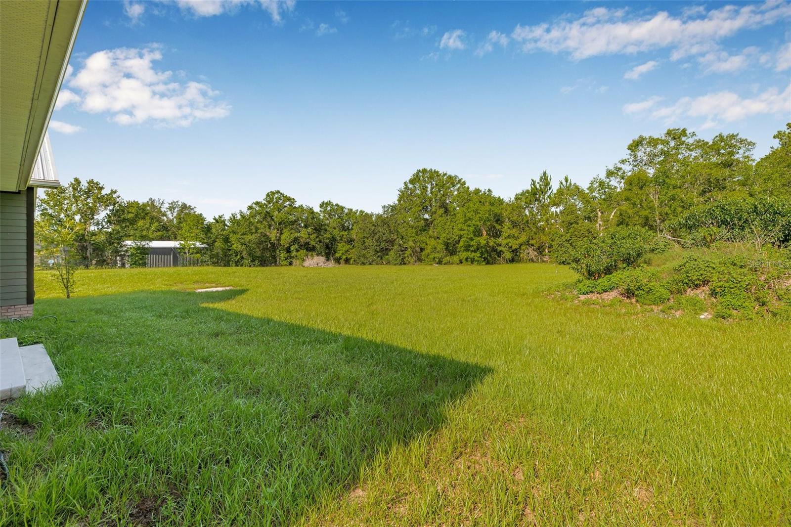 8843 KENTON RD, WESLEY CHAPEL, FL — photo 25