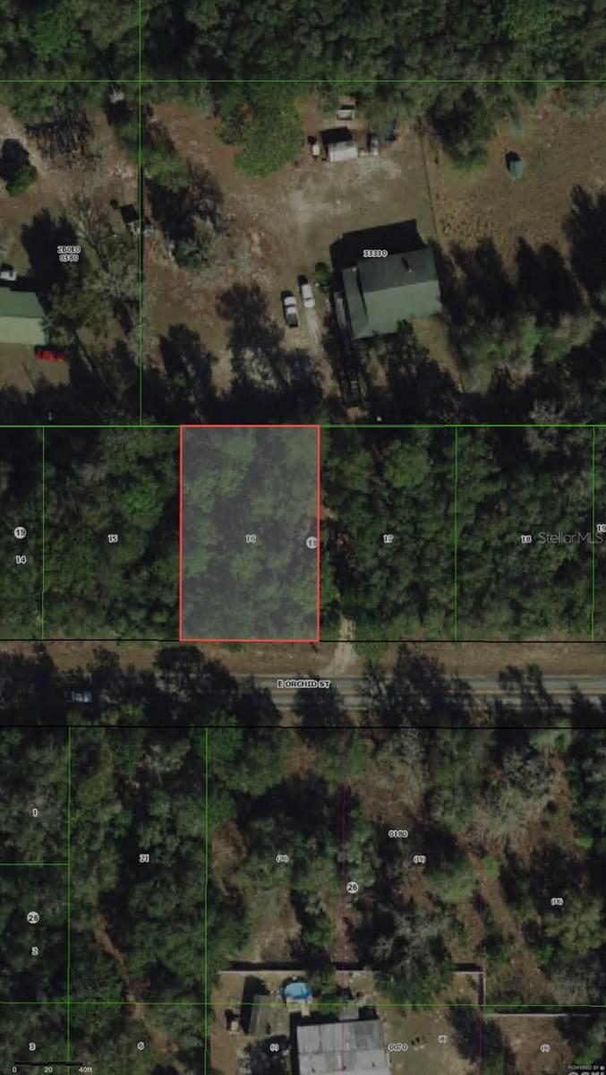 3919 E ORCHID ST, HERNANDO, FL — photo 7