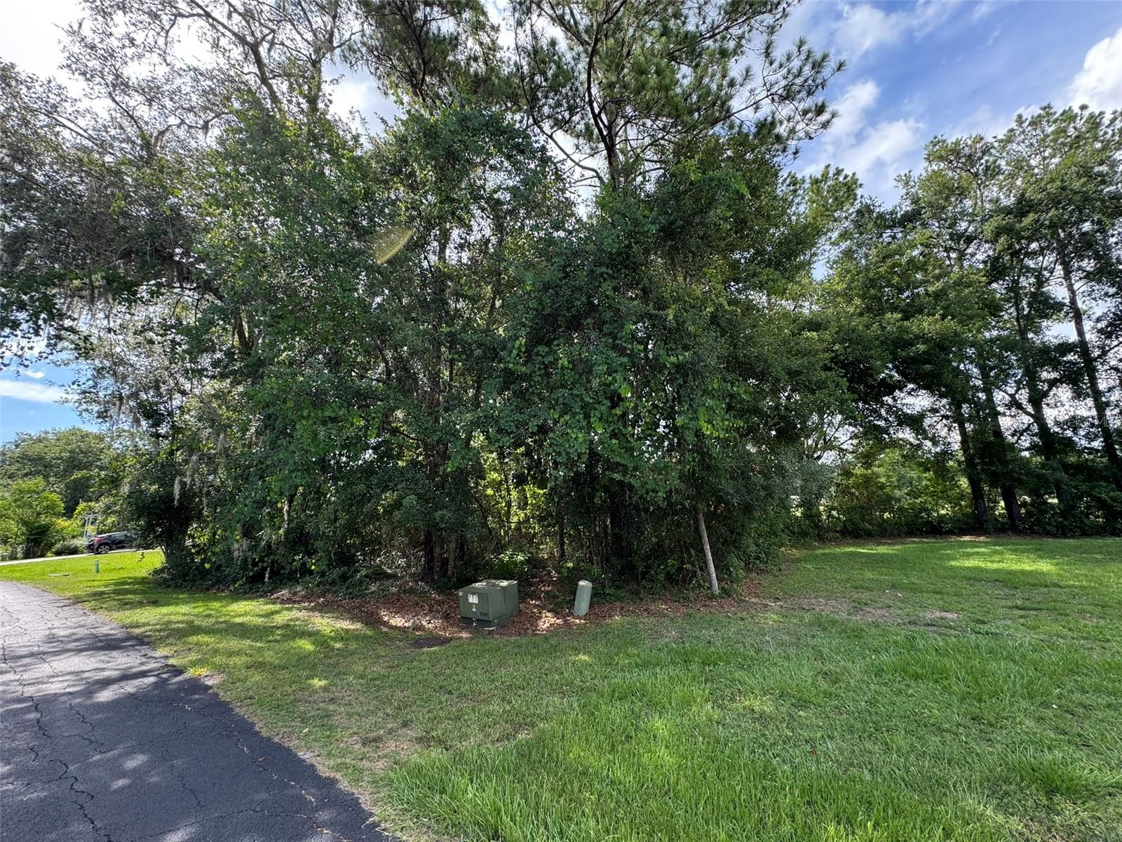 18035 GLEN RAVEN BLVD, BROOKSVILLE, FL — photo 3