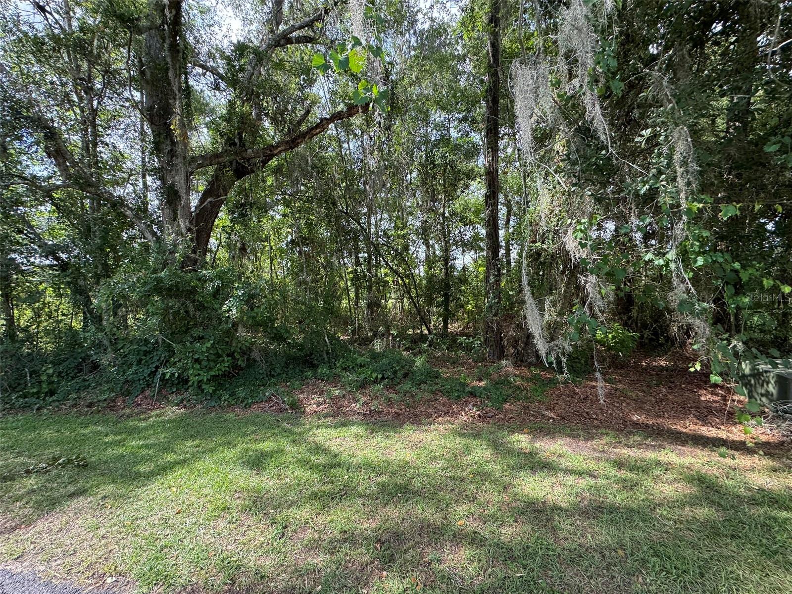18035 GLEN RAVEN BLVD, BROOKSVILLE, FL — photo 4