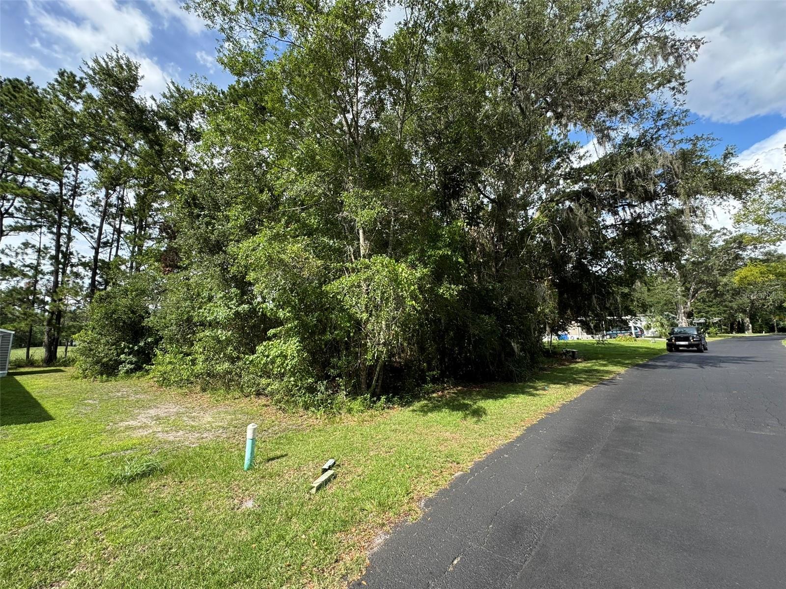 18035 GLEN RAVEN BLVD, BROOKSVILLE, FL — photo 5