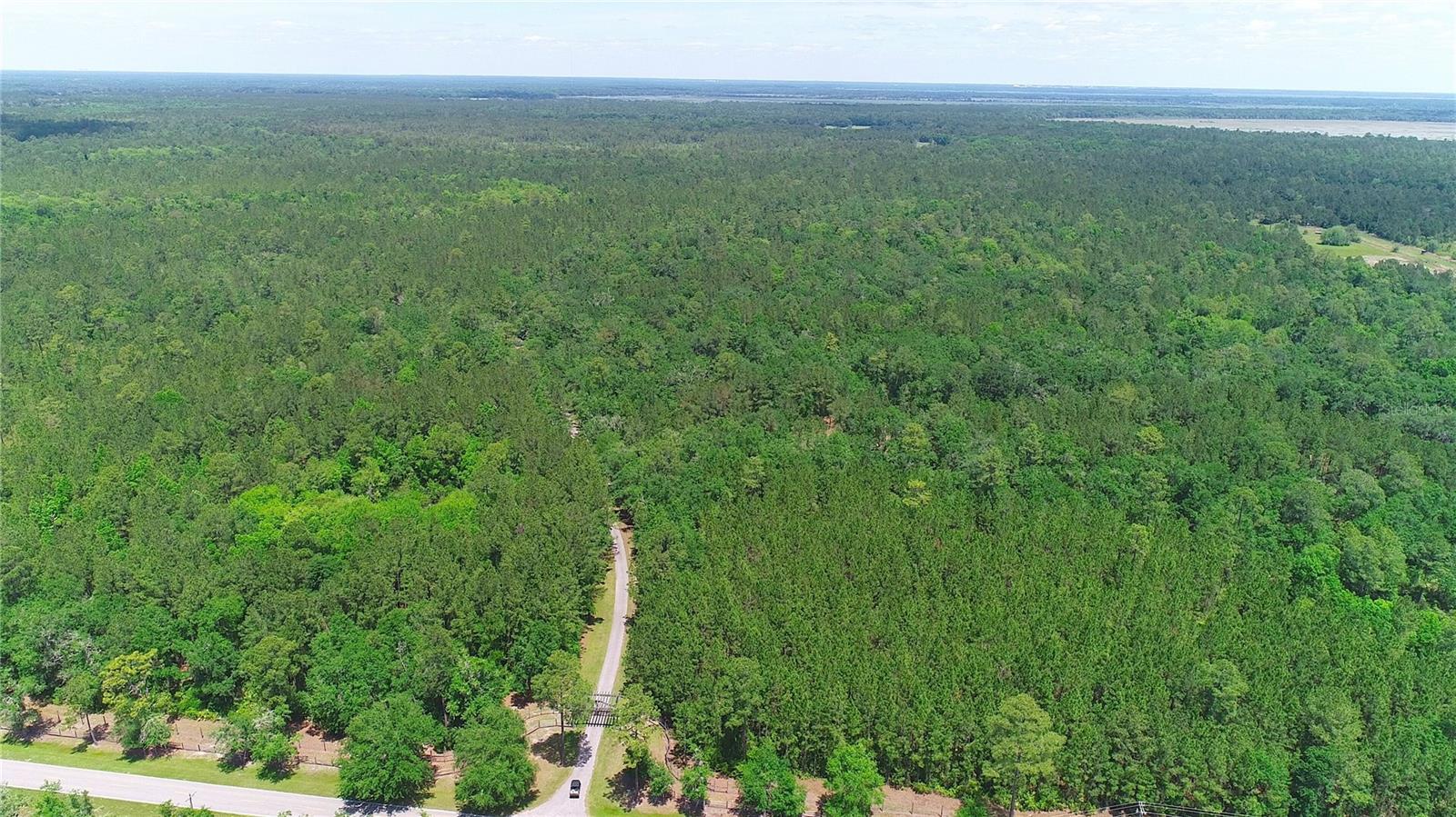 15305 NW HWY 320, MICANOPY, FL — photo 4