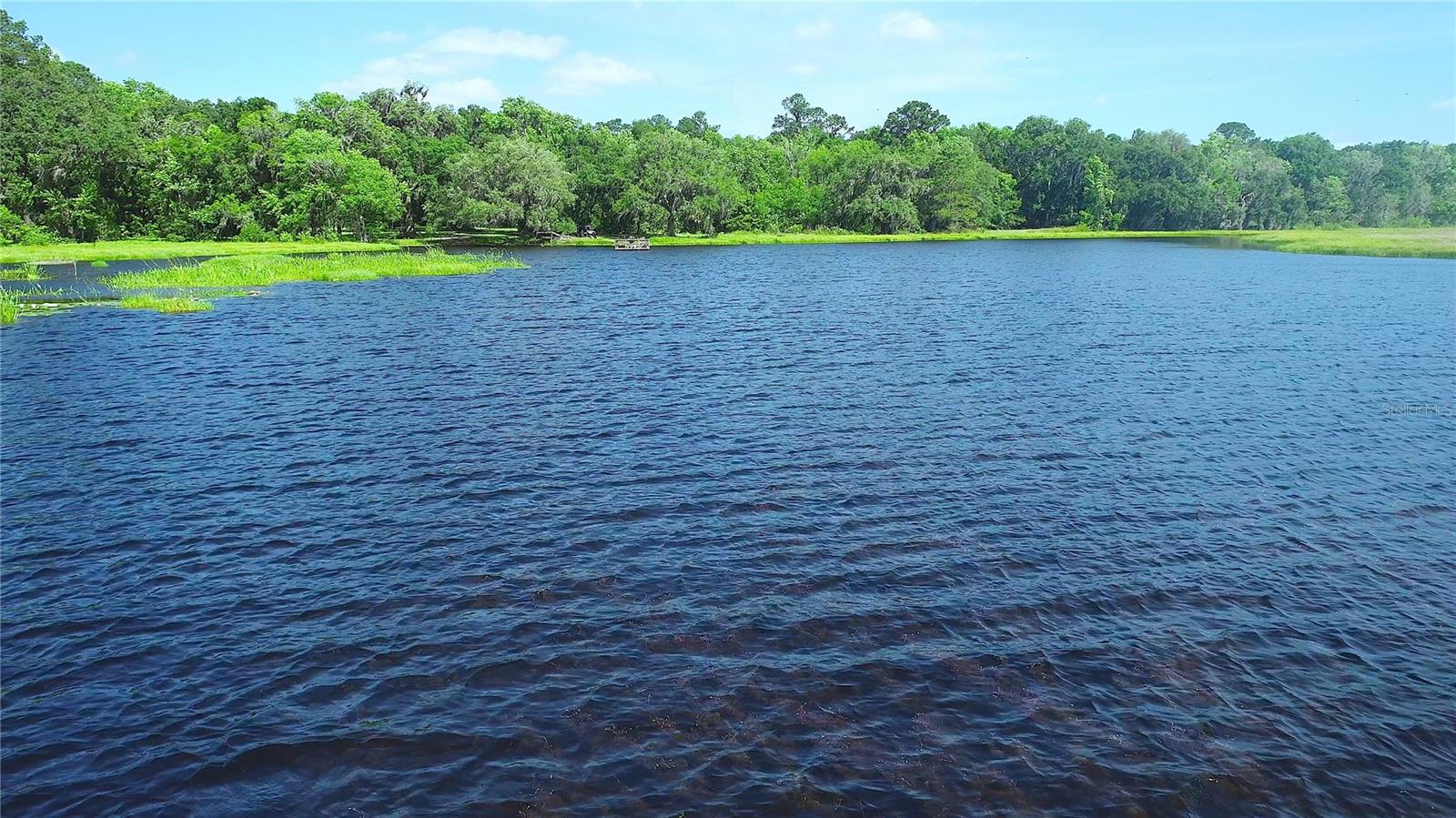 15305 NW HWY 320, MICANOPY, FL — photo 74