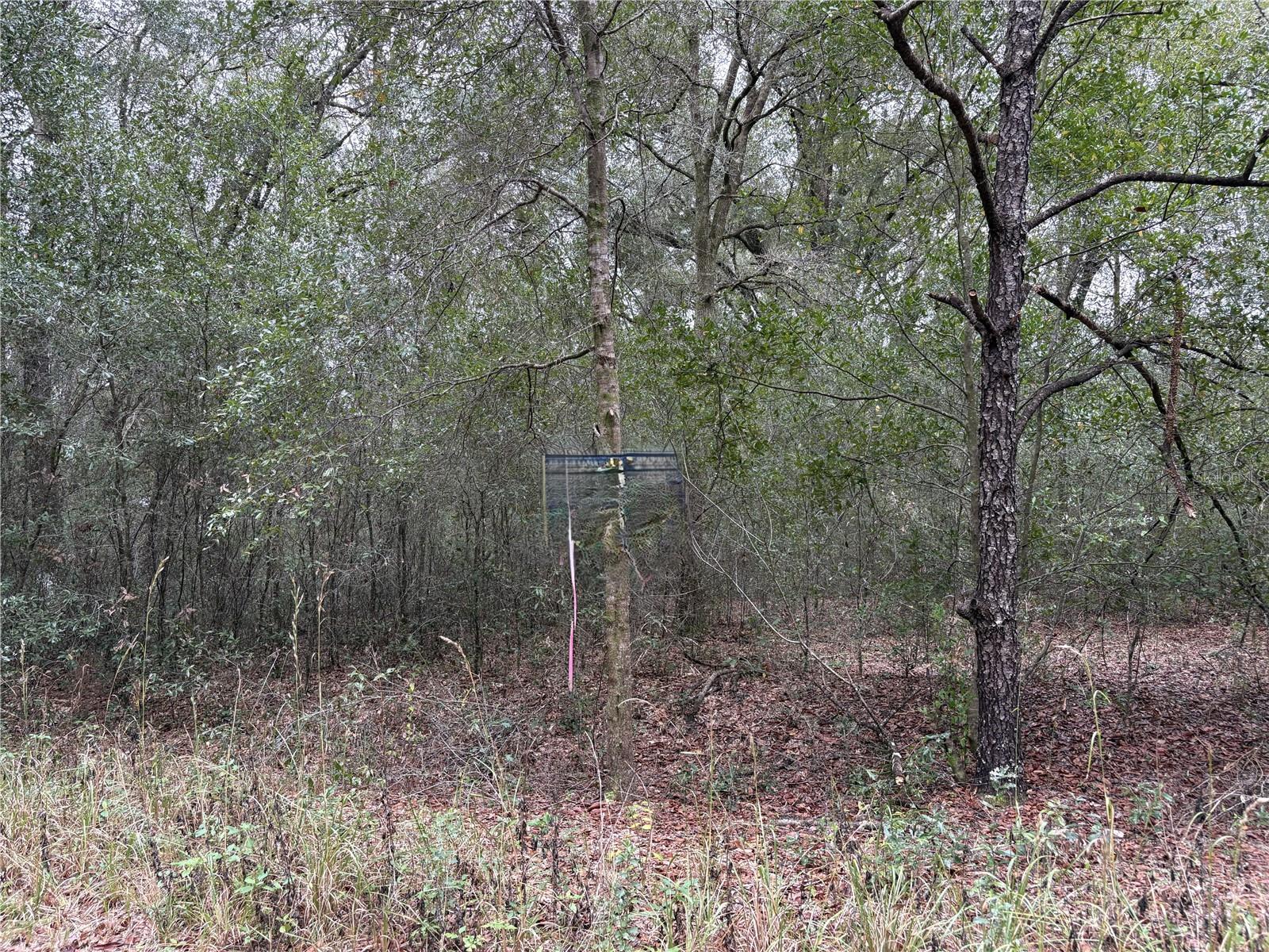 SW 16TH ST, OCALA, FL — photo 4
