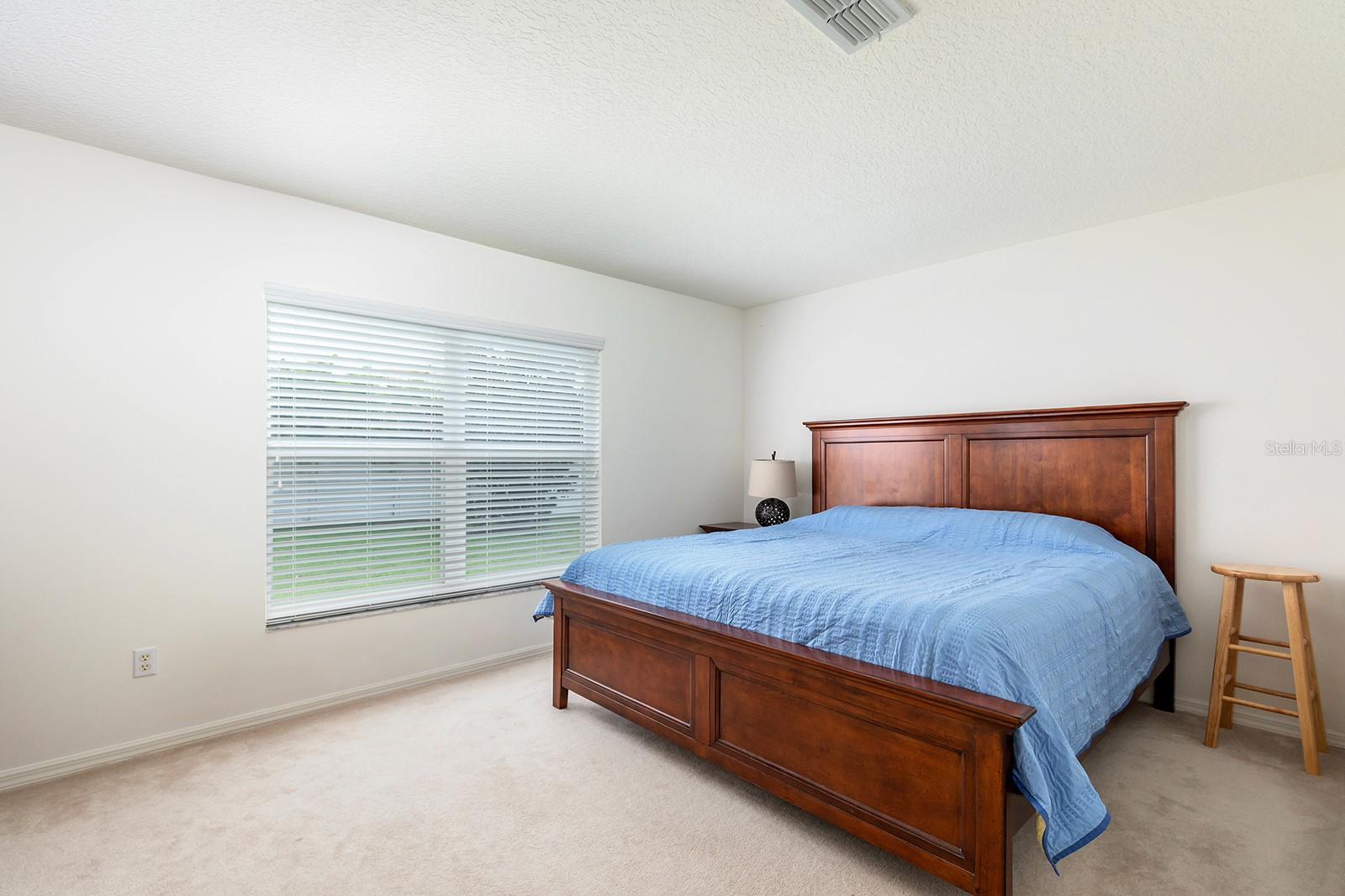 6631 CRESTMONT GLEN LN, WINDERMERE, FL — photo 10