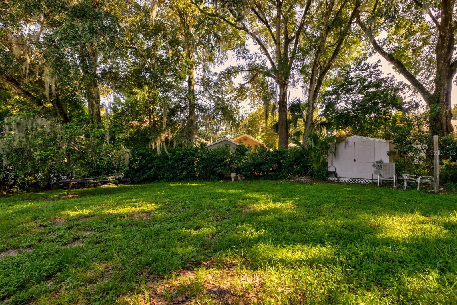 401 E 9TH AVE, MOUNT DORA, FL — photo 33