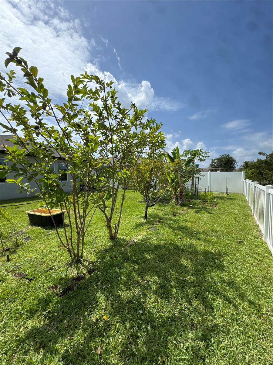 2741 NEVERLAND DR, NEW SMYRNA BEACH, FL — photo 44