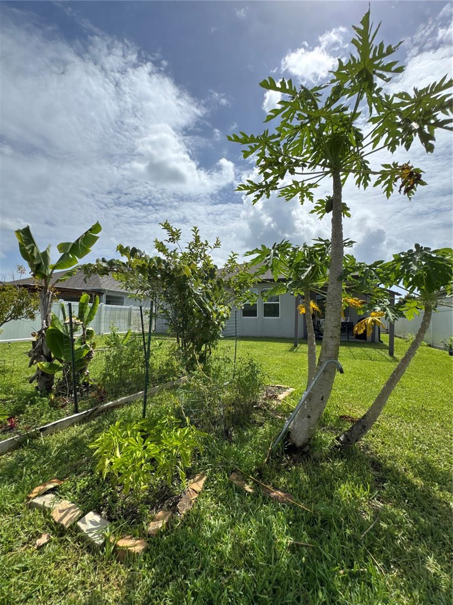 2741 NEVERLAND DR, NEW SMYRNA BEACH, FL — photo 43