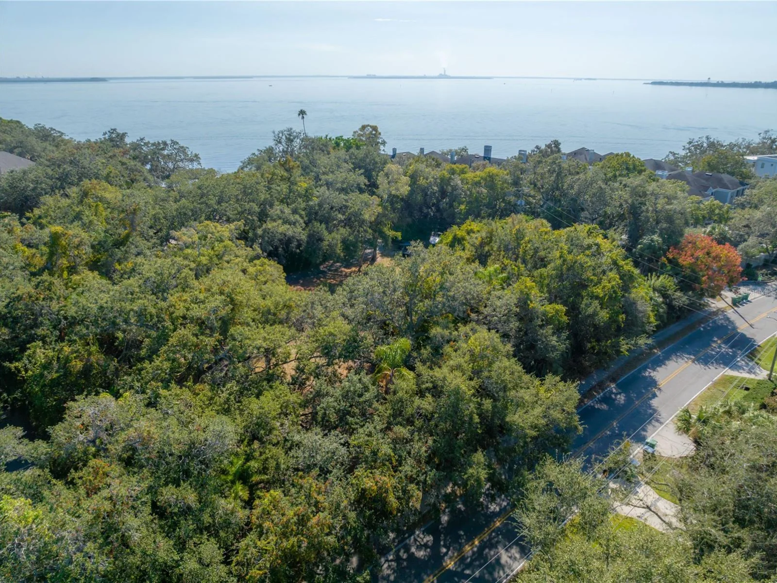 6210 BAYSHORE BLVD, TAMPA, FL — photo 22