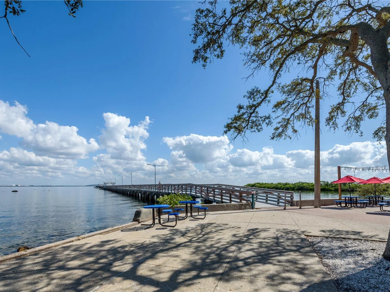 6210 BAYSHORE BLVD, TAMPA, FL — photo 76