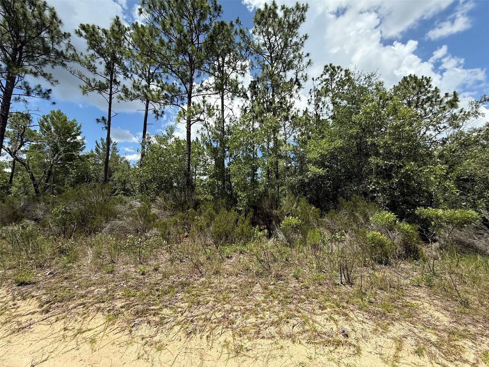 187 PARIS ST, INTERLACHEN, FL