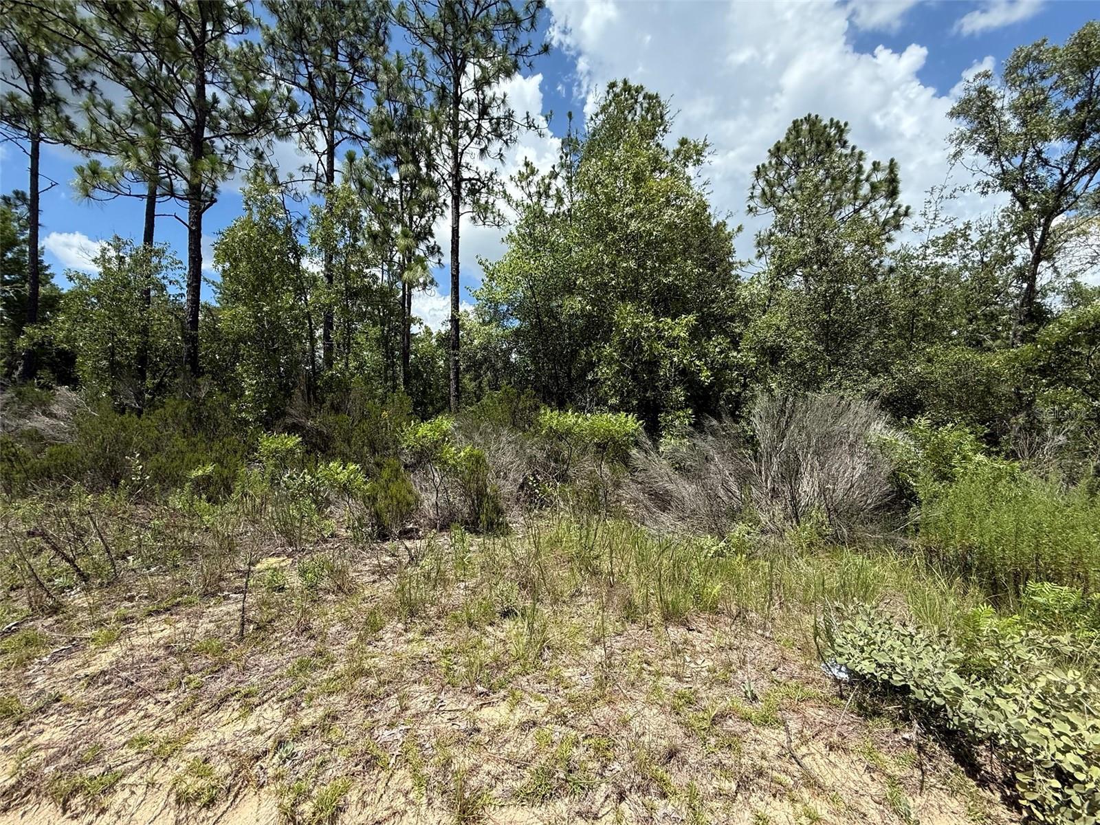 187 PARIS ST, INTERLACHEN, FL — photo 3
