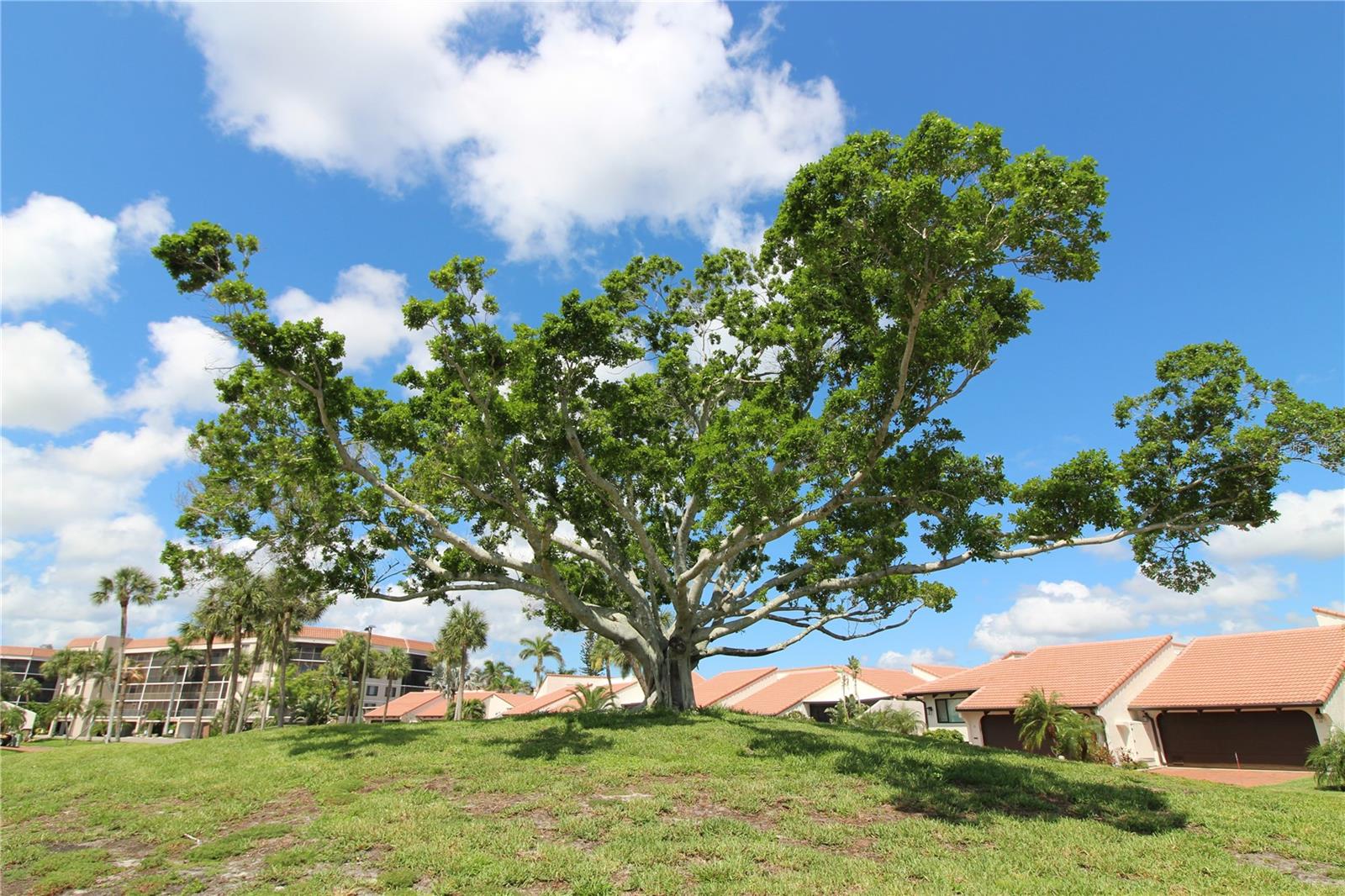 25188 MARION AVE #24, PUNTA GORDA, FL — photo 3
