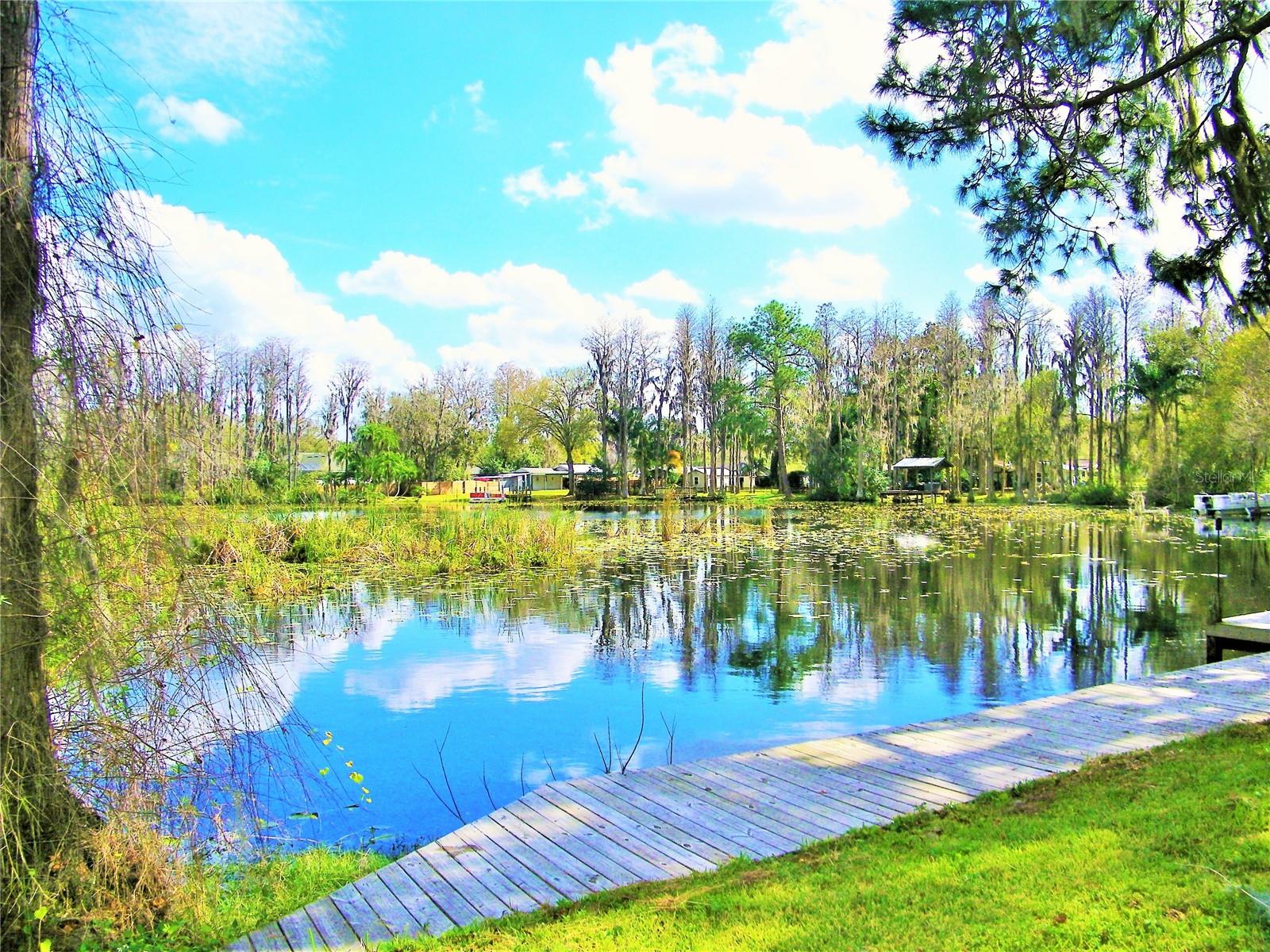 17017 PAULA LN, LUTZ, FL — photo 45