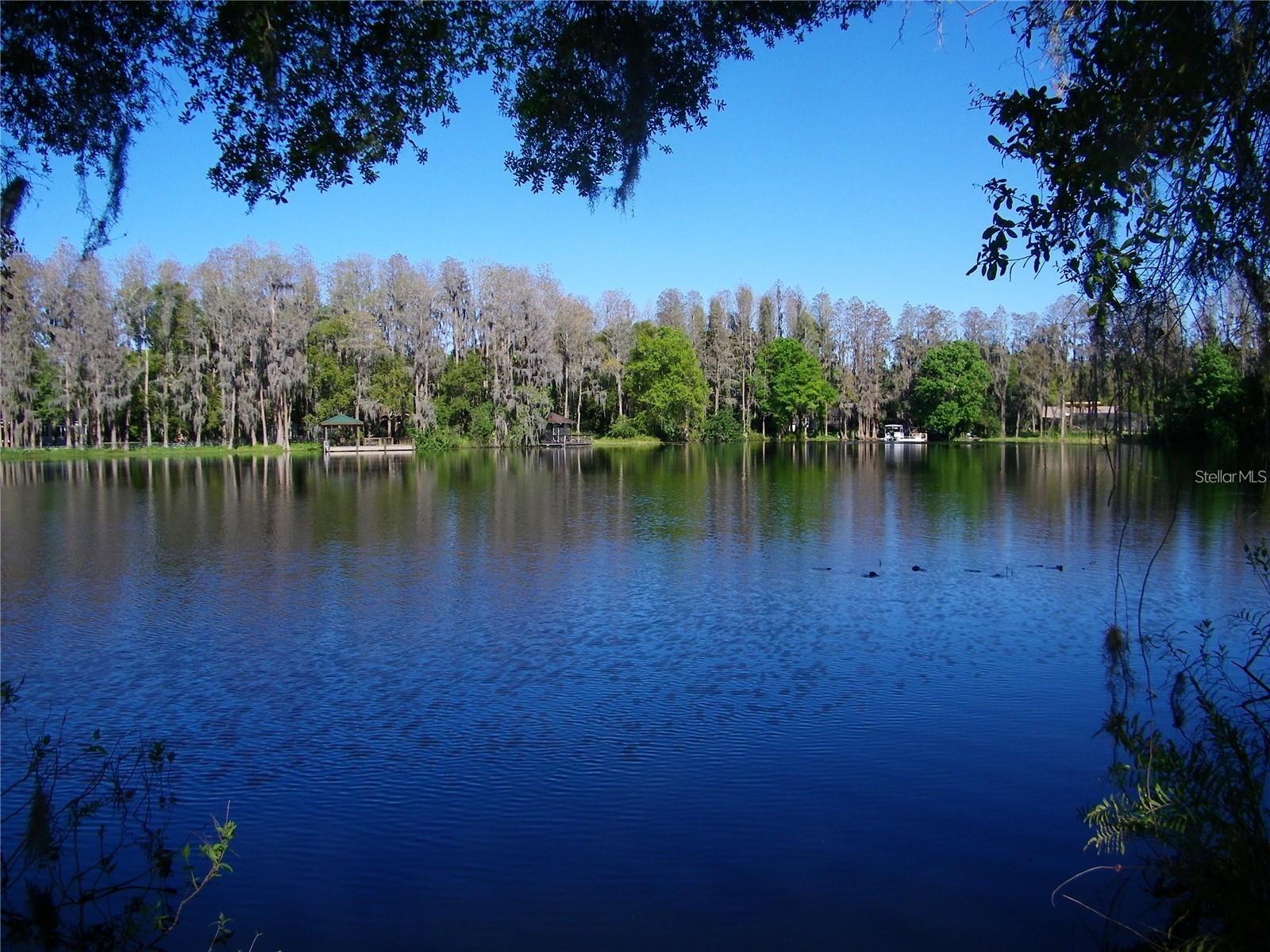 17017 PAULA LN, LUTZ, FL — photo 2