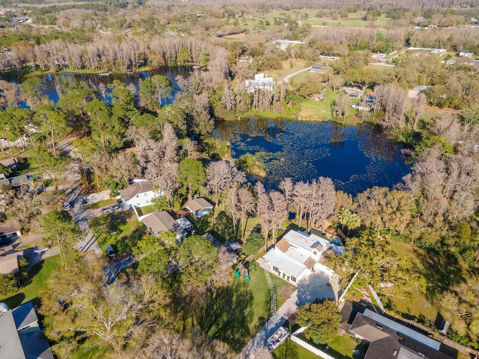 17017 PAULA LN, LUTZ, FL — photo 10