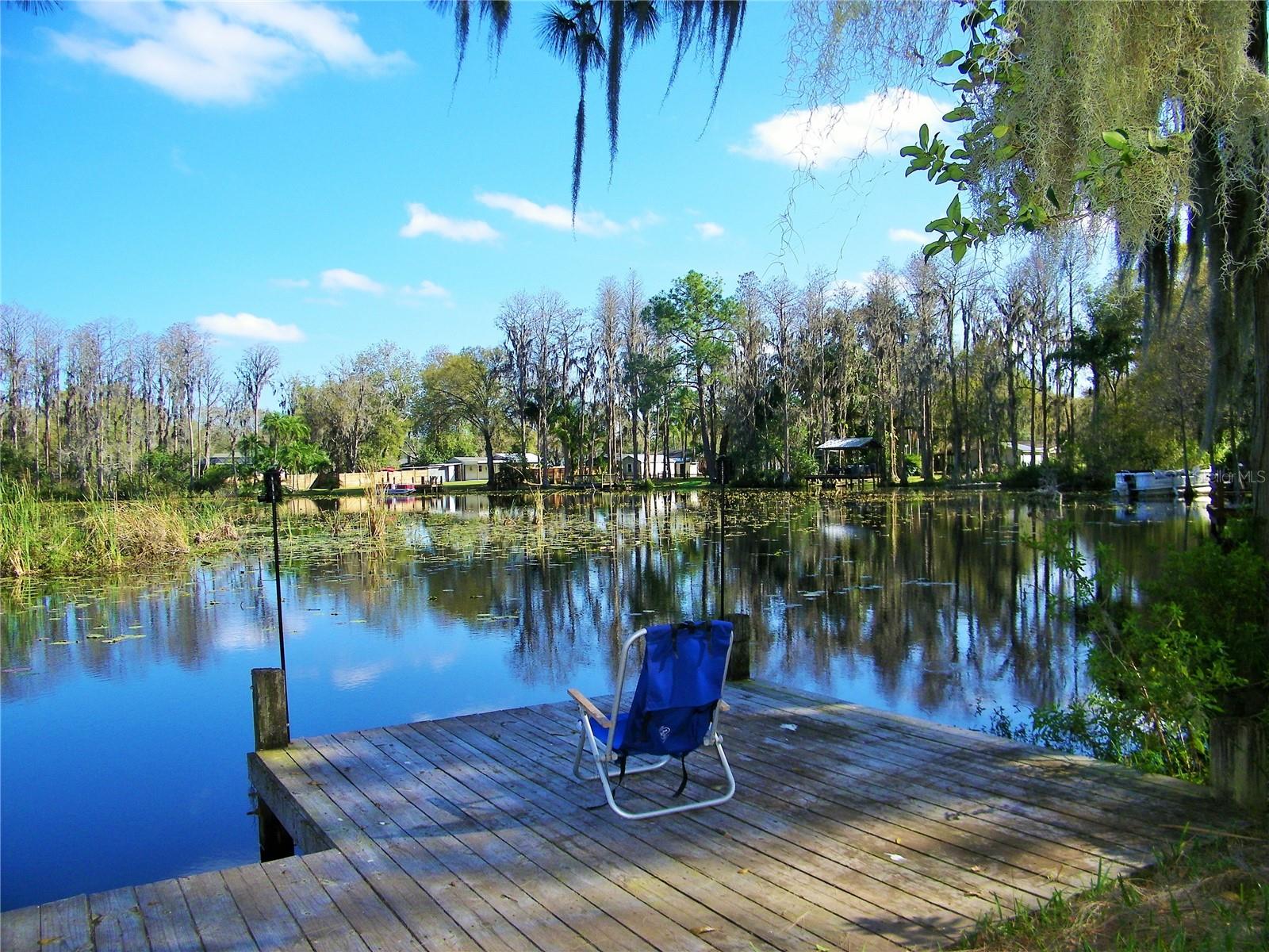 17017 PAULA LN, LUTZ, FL — photo 46