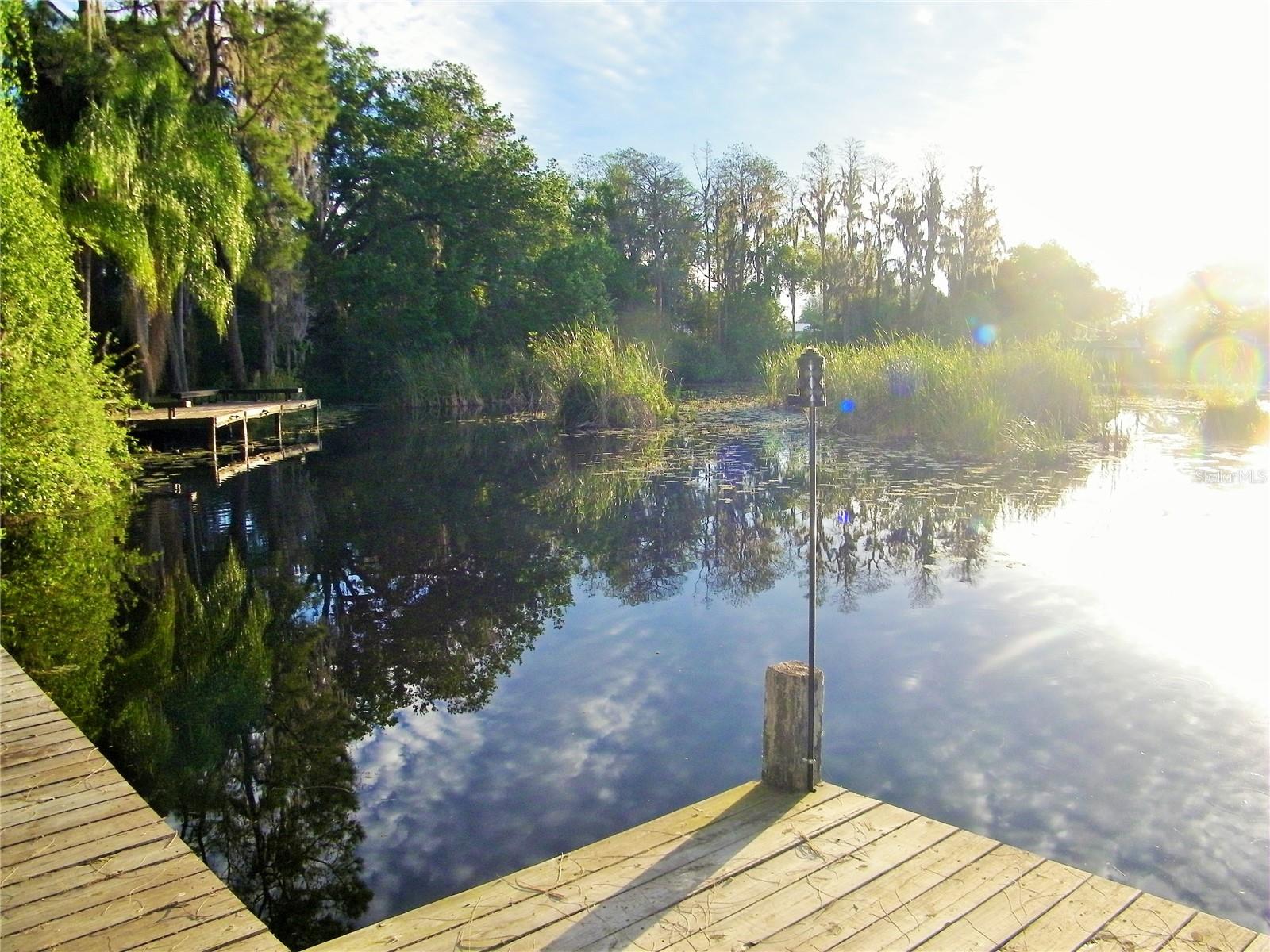 17017 PAULA LN, LUTZ, FL — photo 48