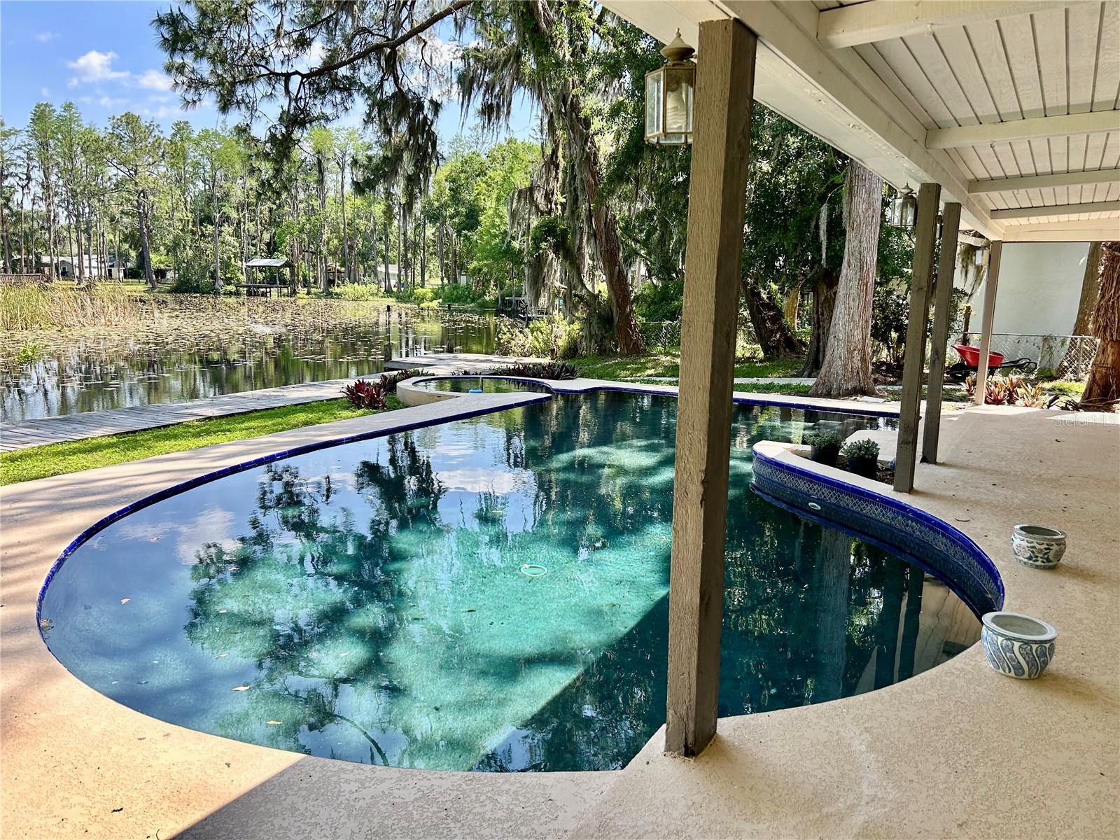 17017 PAULA LN, LUTZ, FL — photo 6
