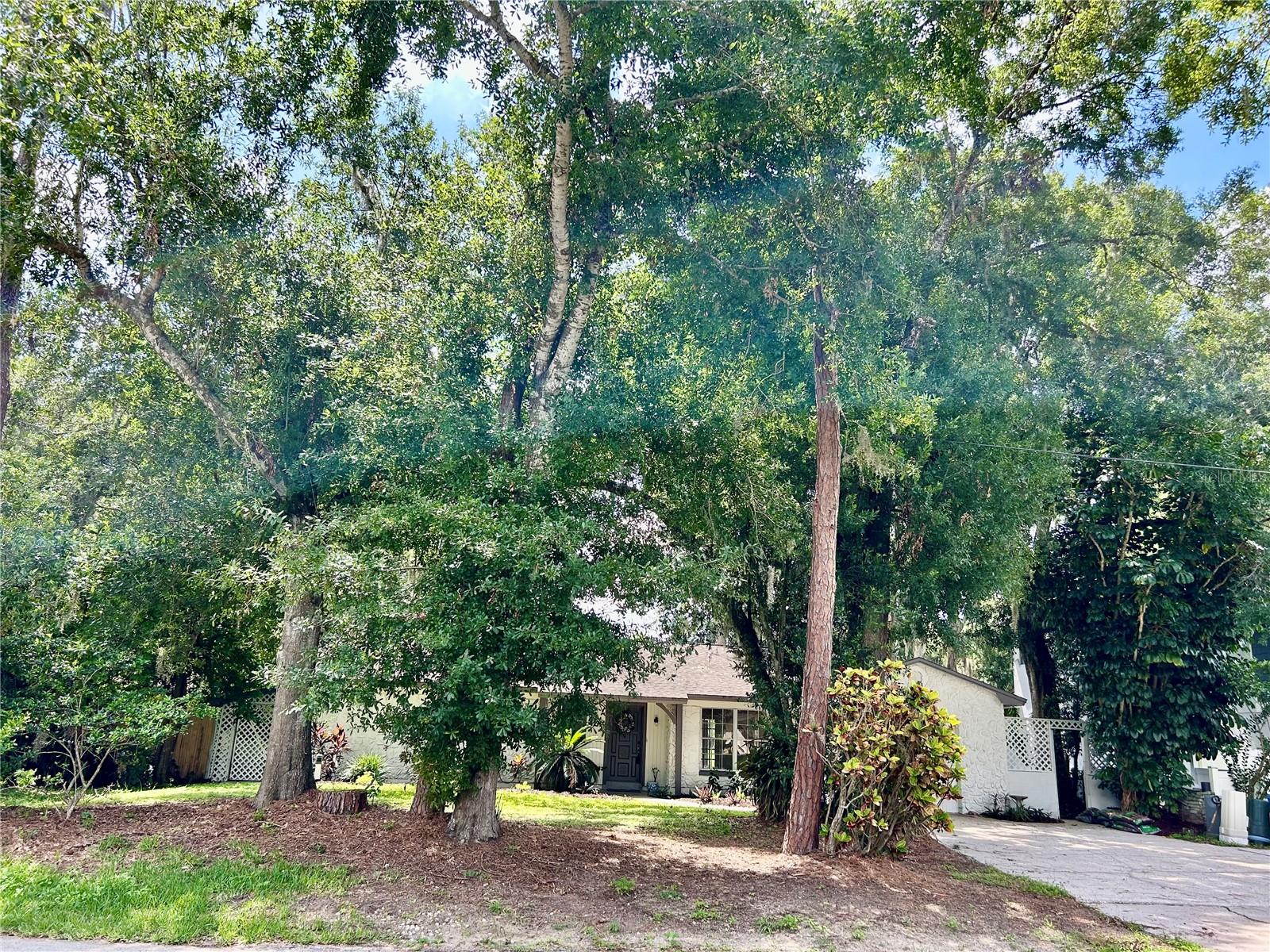 17017 PAULA LN, LUTZ, FL — photo 8