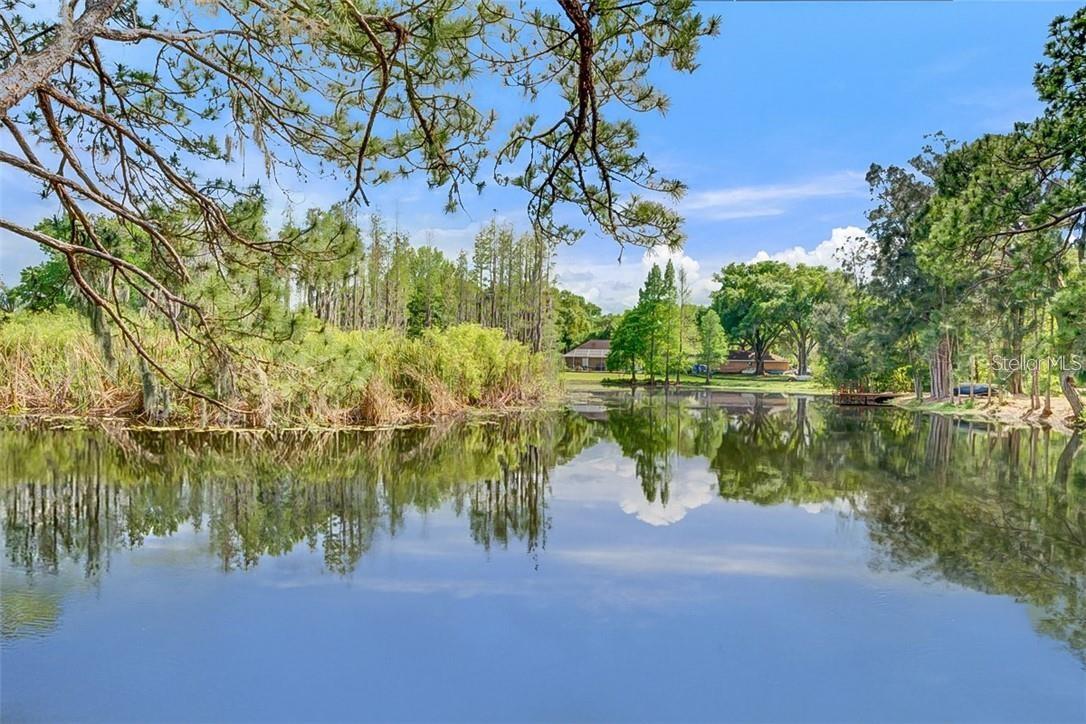 17017 PAULA LN, LUTZ, FL — photo 51
