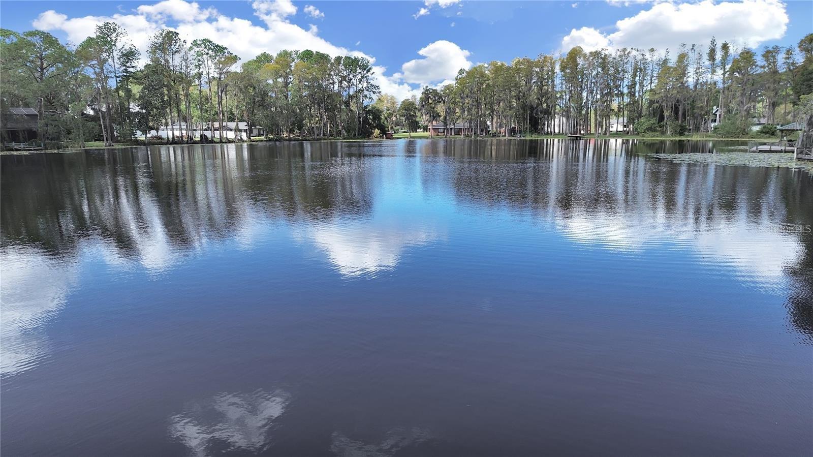 17017 PAULA LN, LUTZ, FL — photo 36