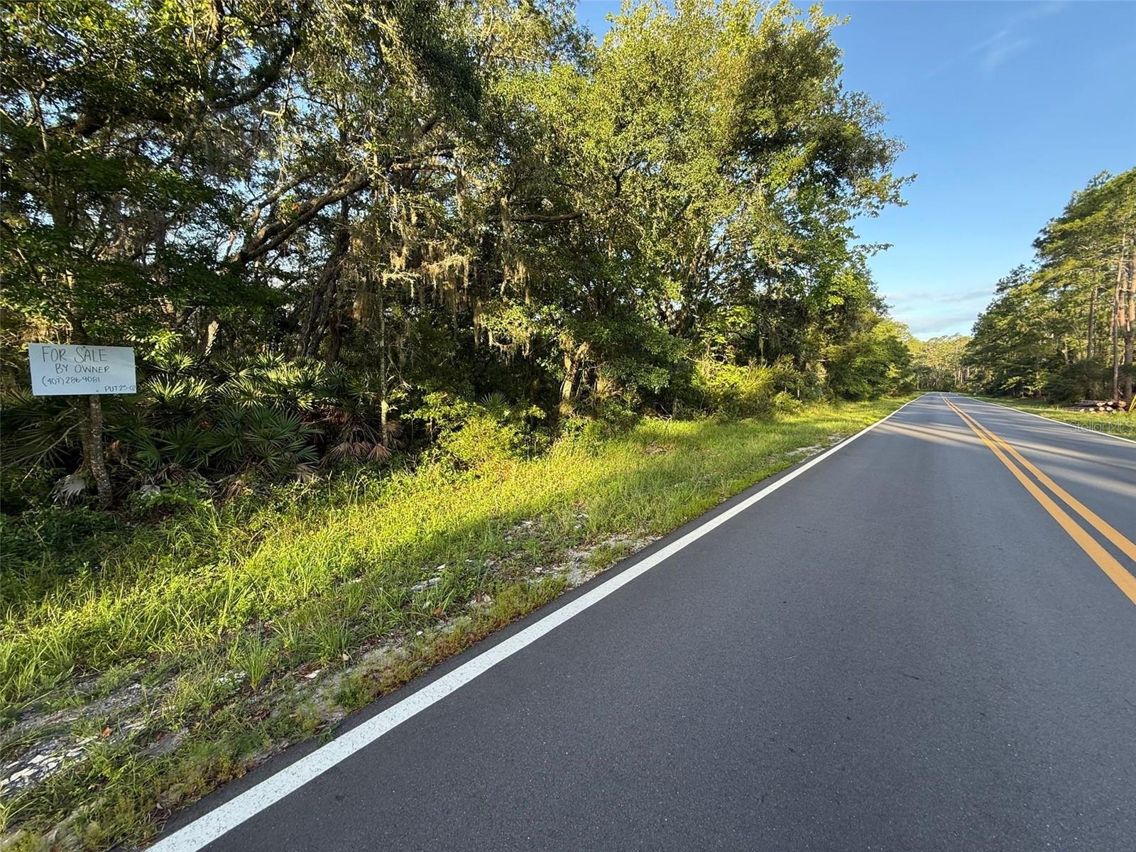 161 WALLACE ST, INTERLACHEN, FL