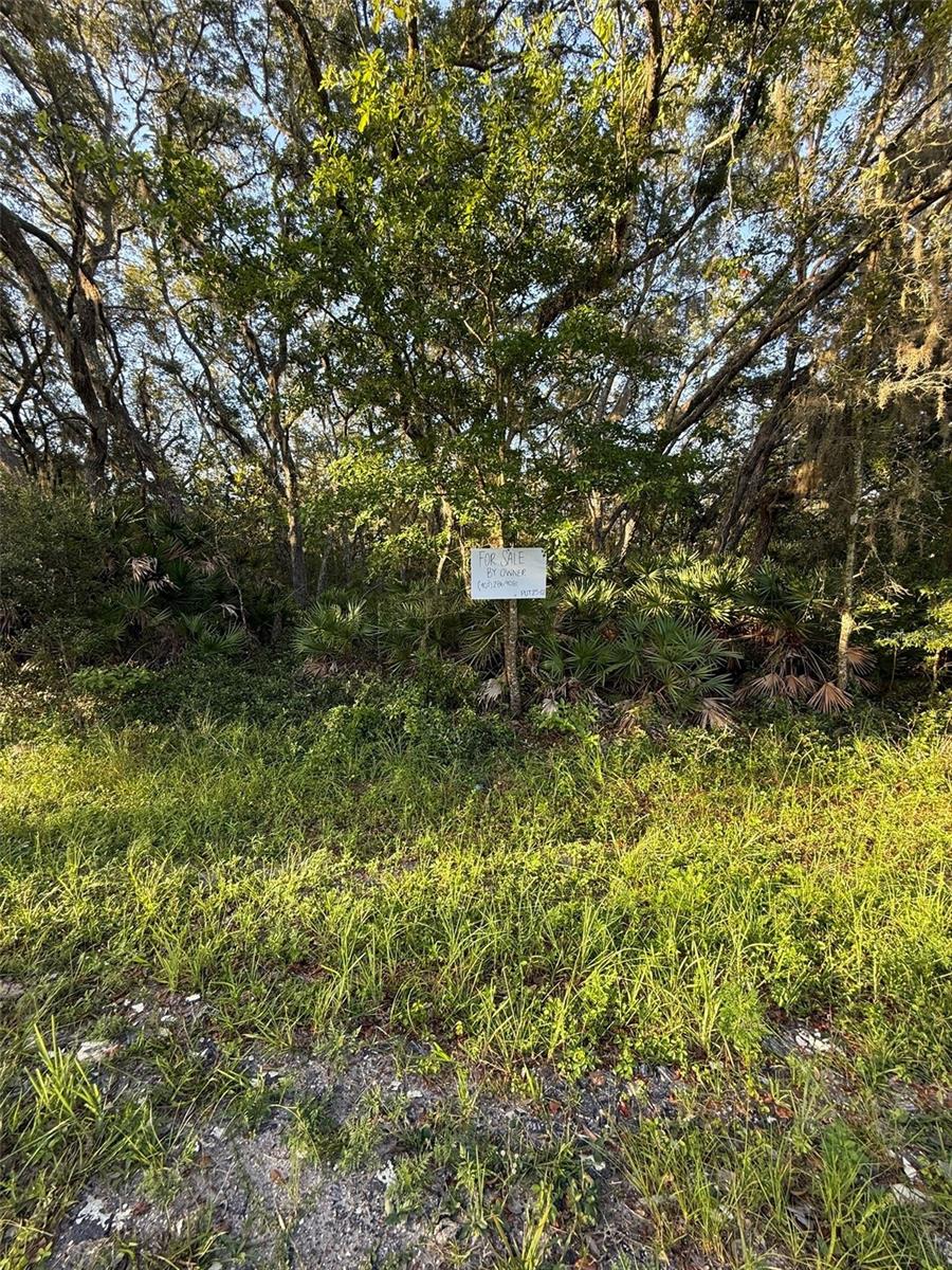 161 WALLACE ST, INTERLACHEN, FL — photo 3