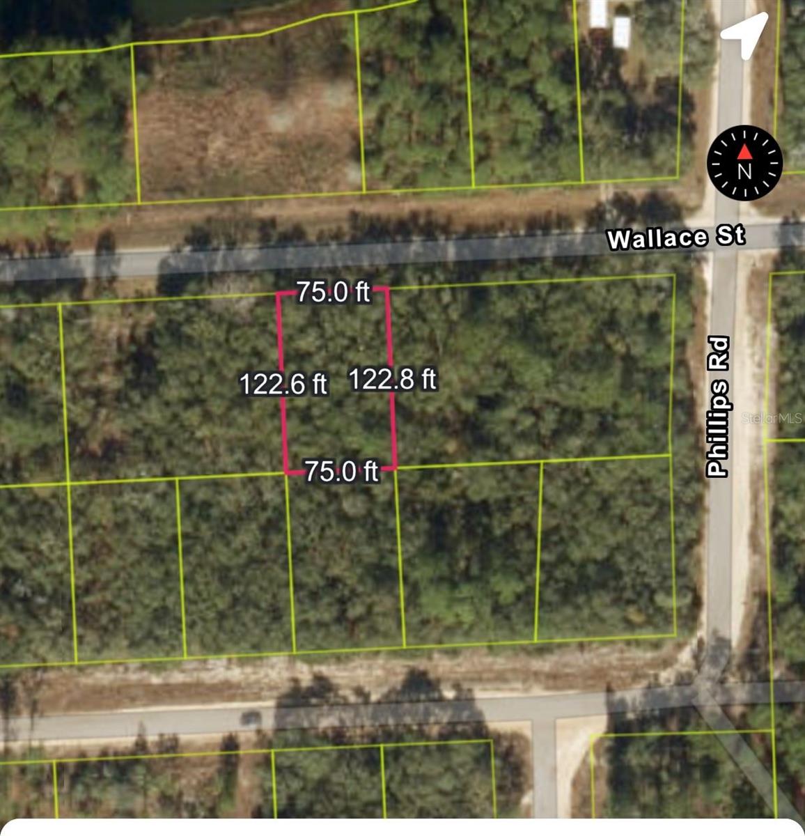 161 WALLACE ST, INTERLACHEN, FL — photo 8