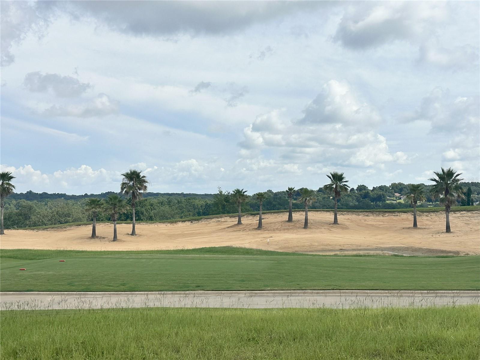 16243 VETTA DR, MONTVERDE, FL — photo 10