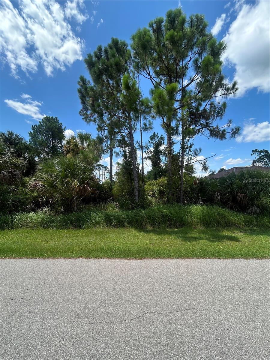 ALESIO AVE, NORTH PORT, FL — photo 5