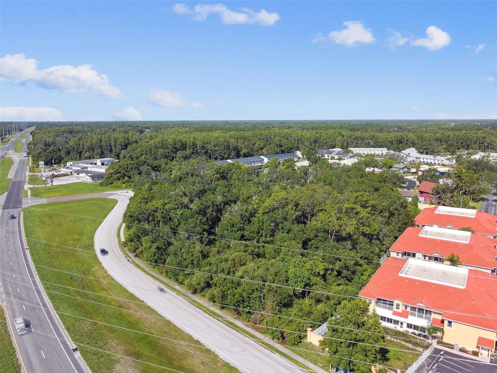 1703 DALE MABRY HWY, LUTZ, FL — photo 3