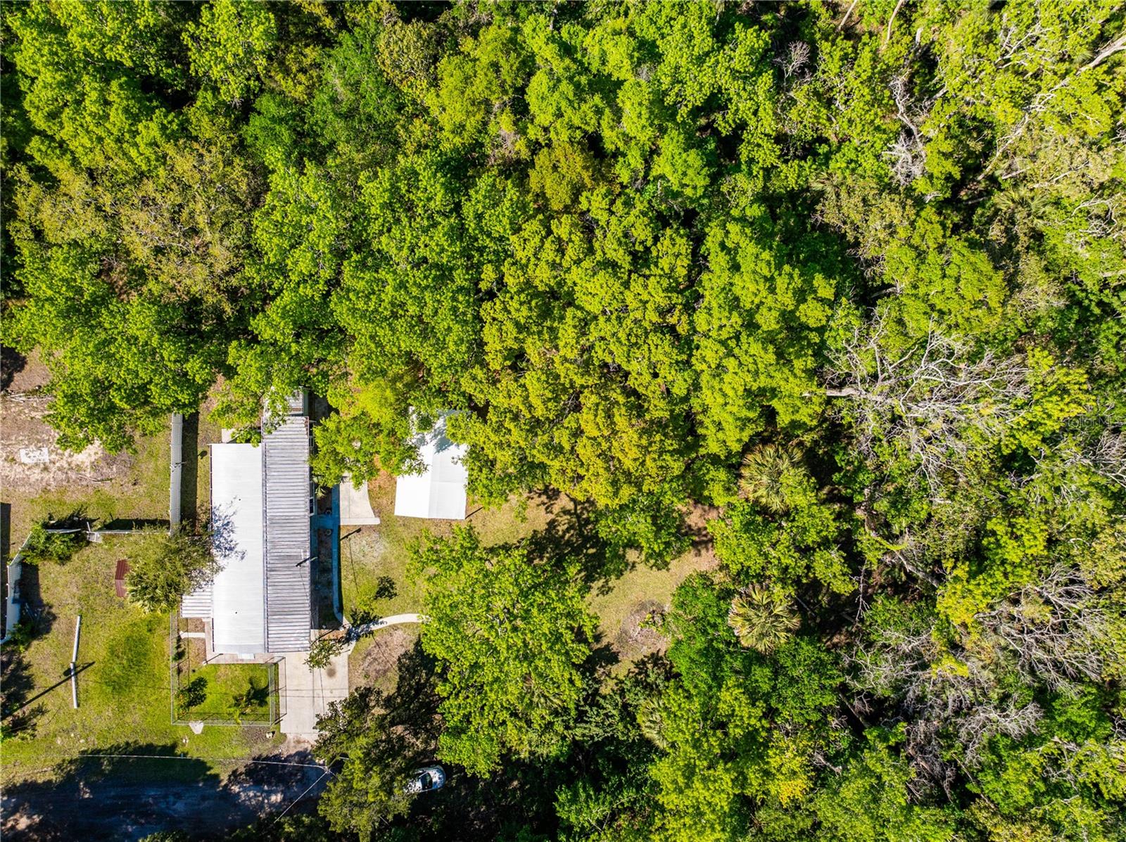 3405 FREMONT LN, SPRING HILL, FL — photo 39