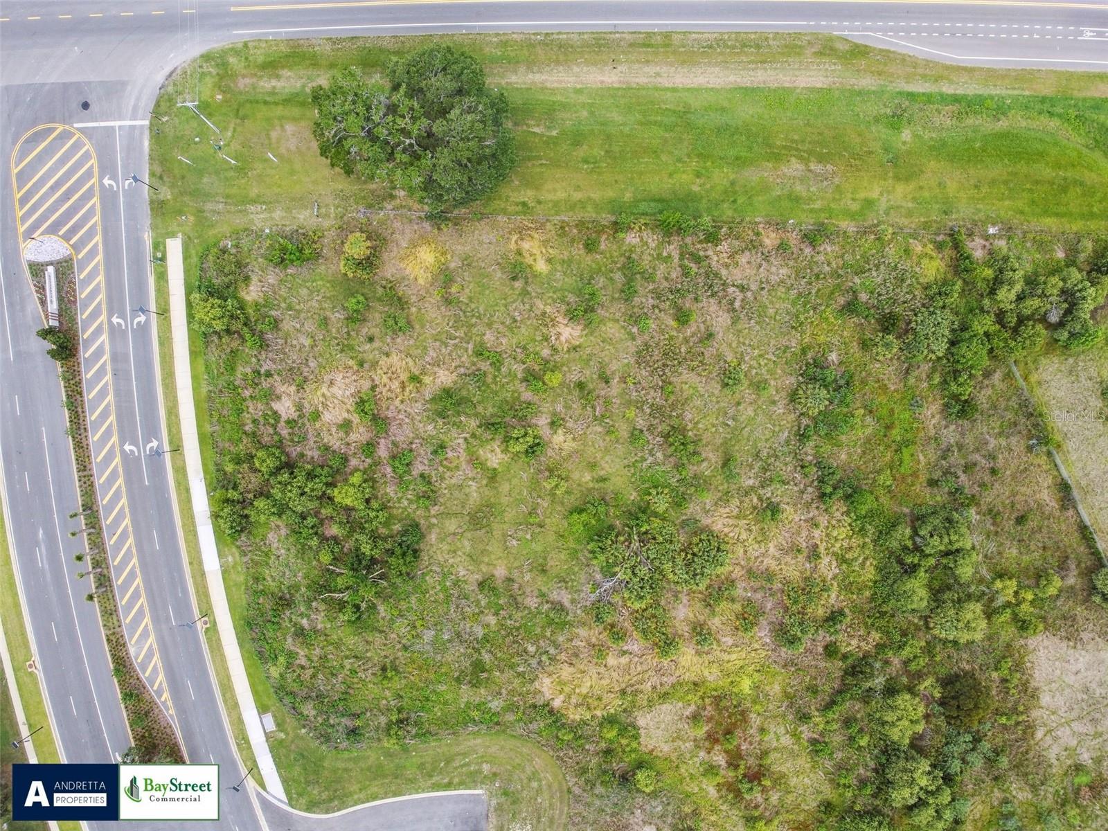 0 GALL BLVD #2.59 Acres, ZEPHYRHILLS, FL — photo 3