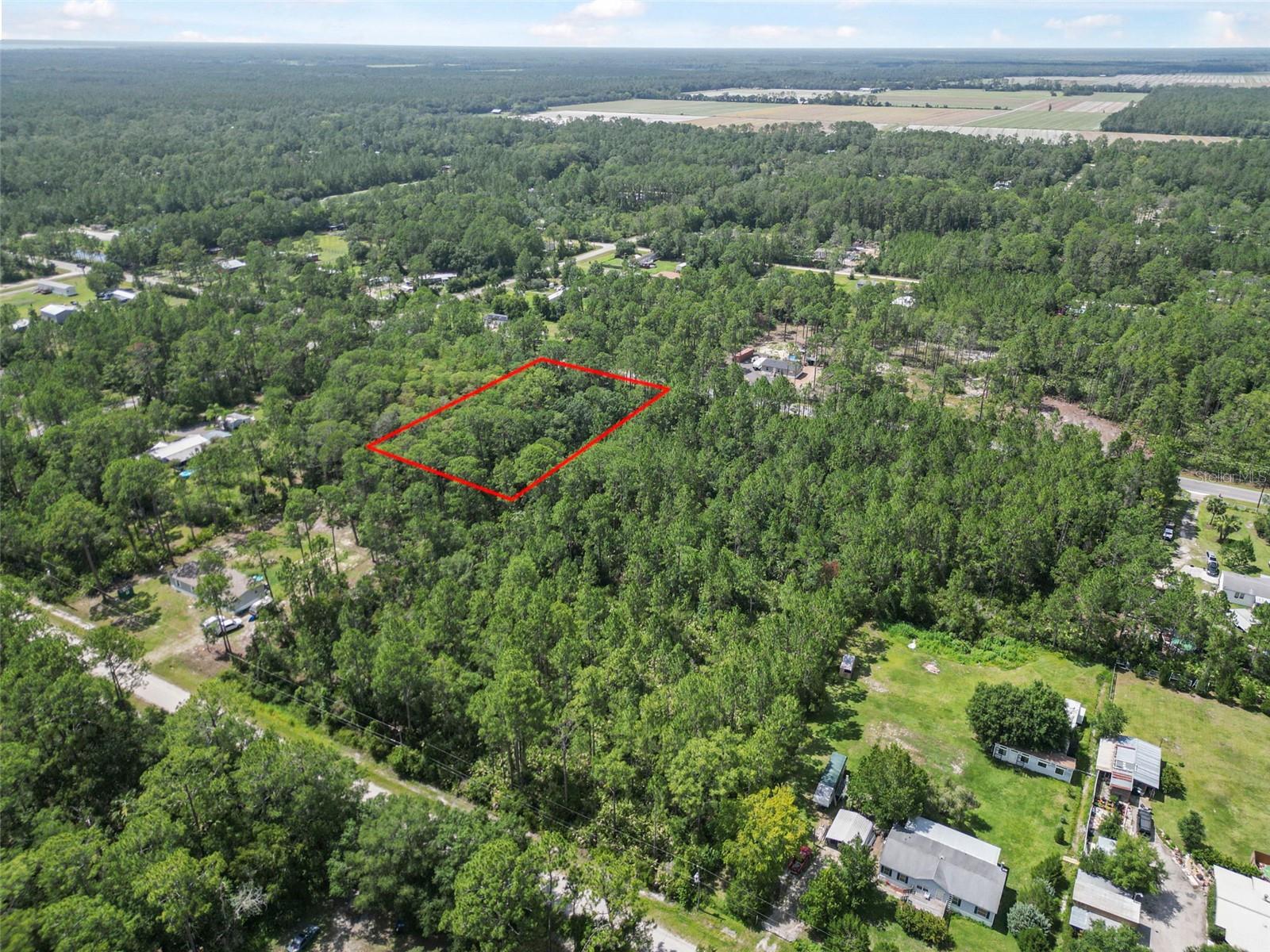 5875 MAHOGANY BLVD, BUNNELL, FL — photo 3