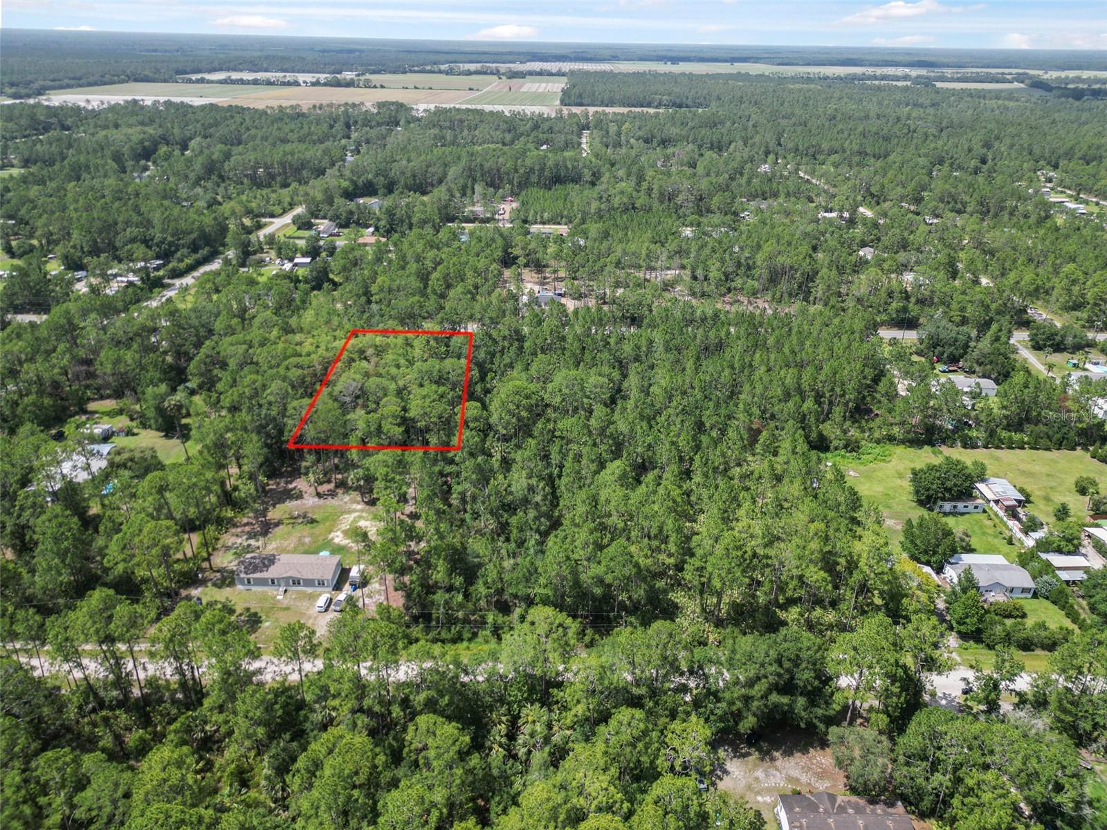 5875 MAHOGANY BLVD, BUNNELL, FL — photo 4