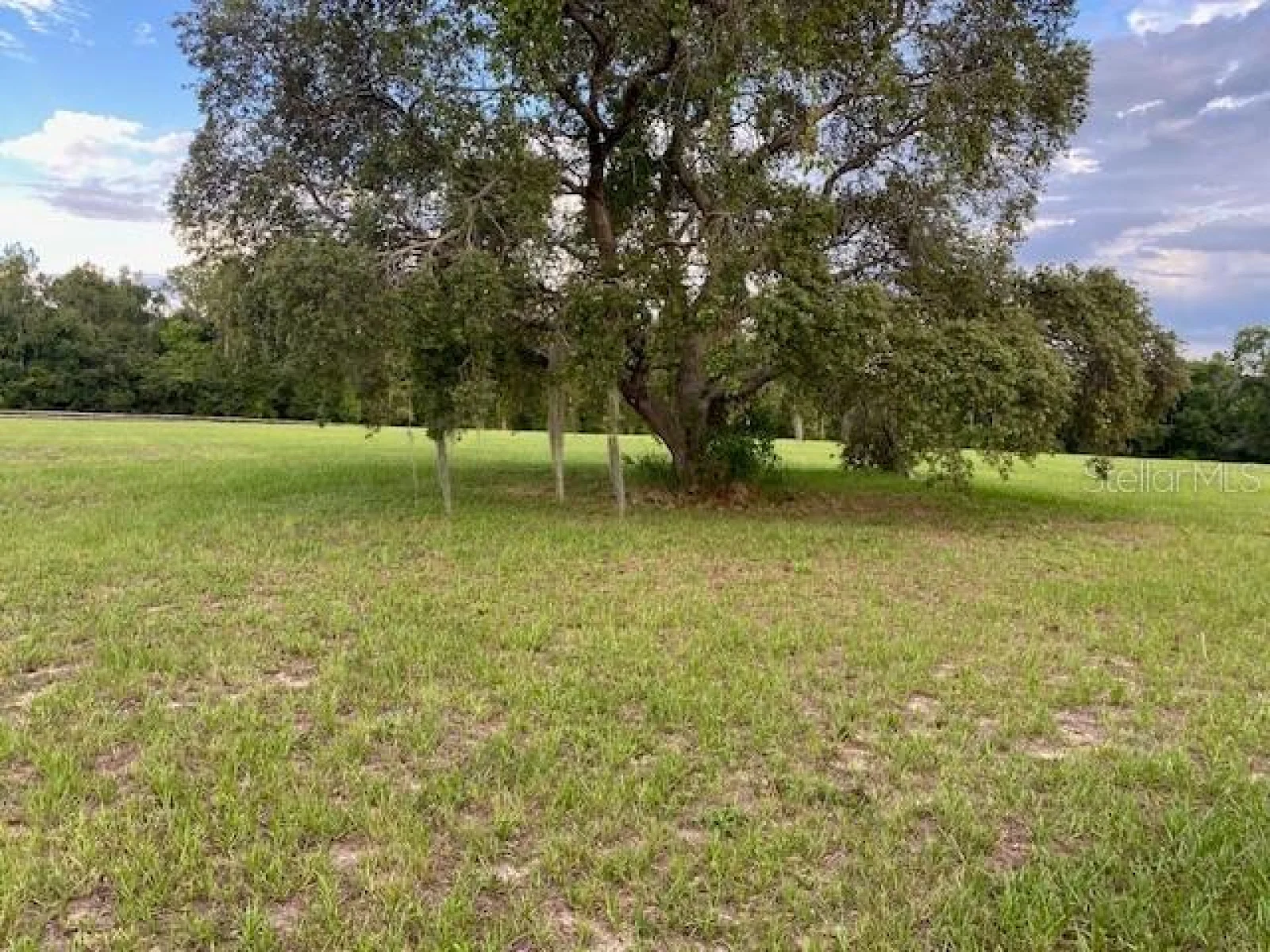 WINDJAMMER RD, CLERMONT, FL — photo 6
