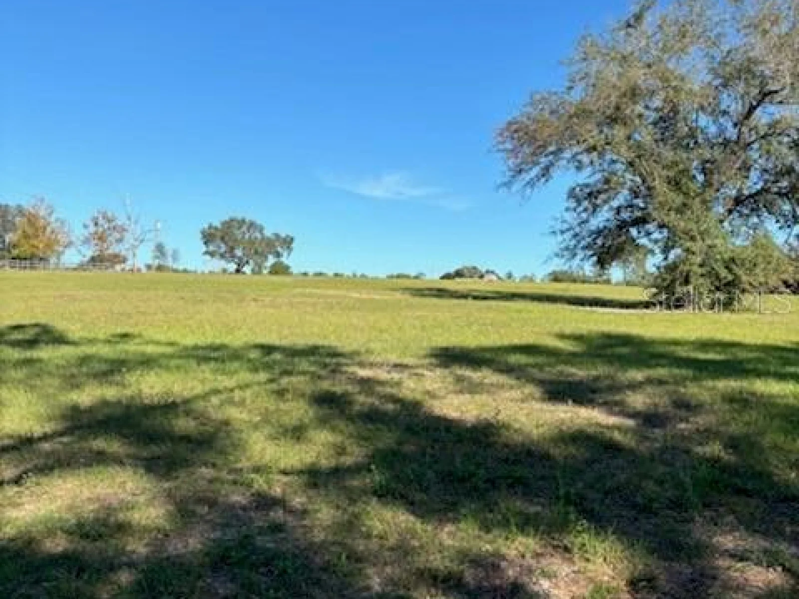 WINDJAMMER RD, CLERMONT, FL — photo 12