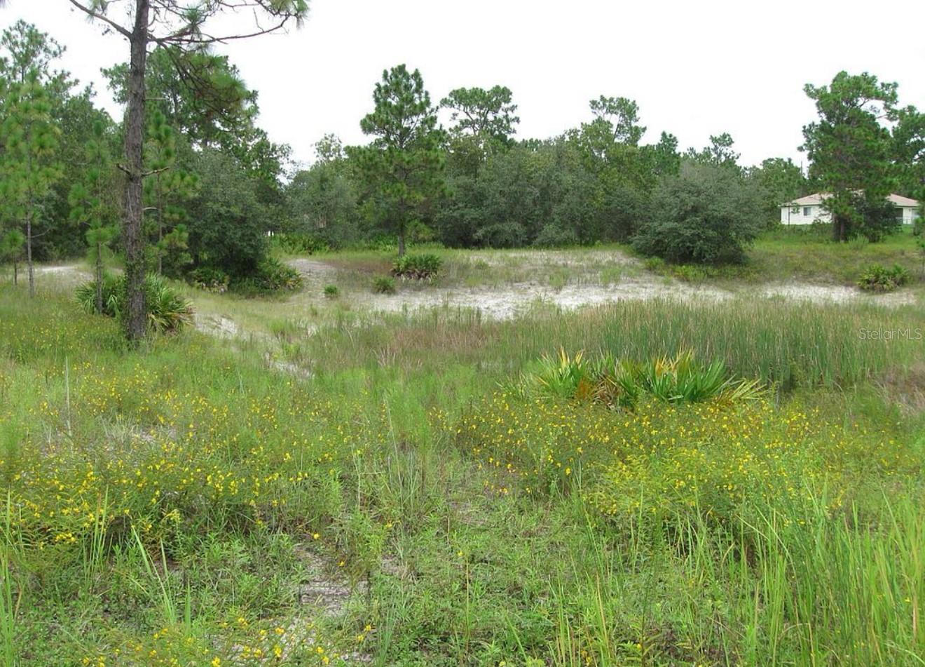 0 FULTON AVE, WEEKI WACHEE, FL — photo 4