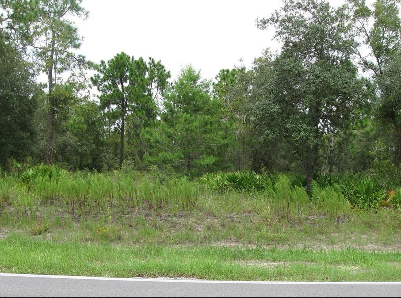 0 FULTON AVE, WEEKI WACHEE, FL — photo 5