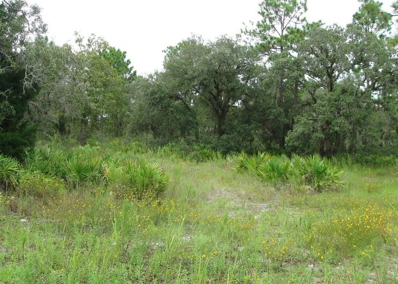 0 FULTON AVE, WEEKI WACHEE, FL — photo 6