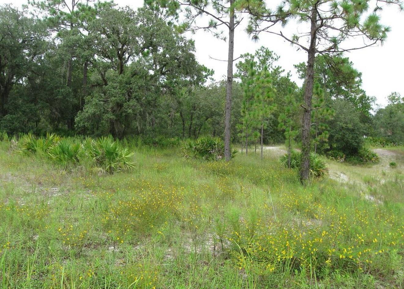 0 FULTON AVE, WEEKI WACHEE, FL — photo 7
