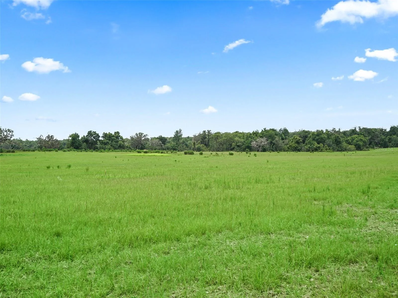 8567 CR 635, BUSHNELL, FL — photo 38