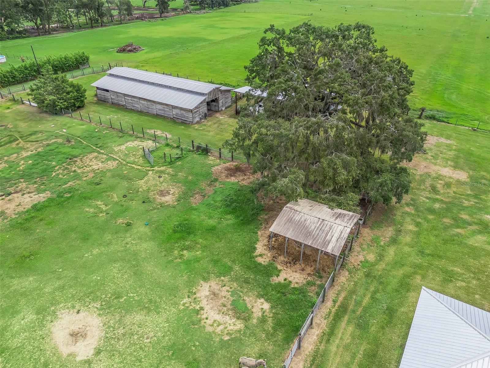8567 CR 635, BUSHNELL, FL — photo 33