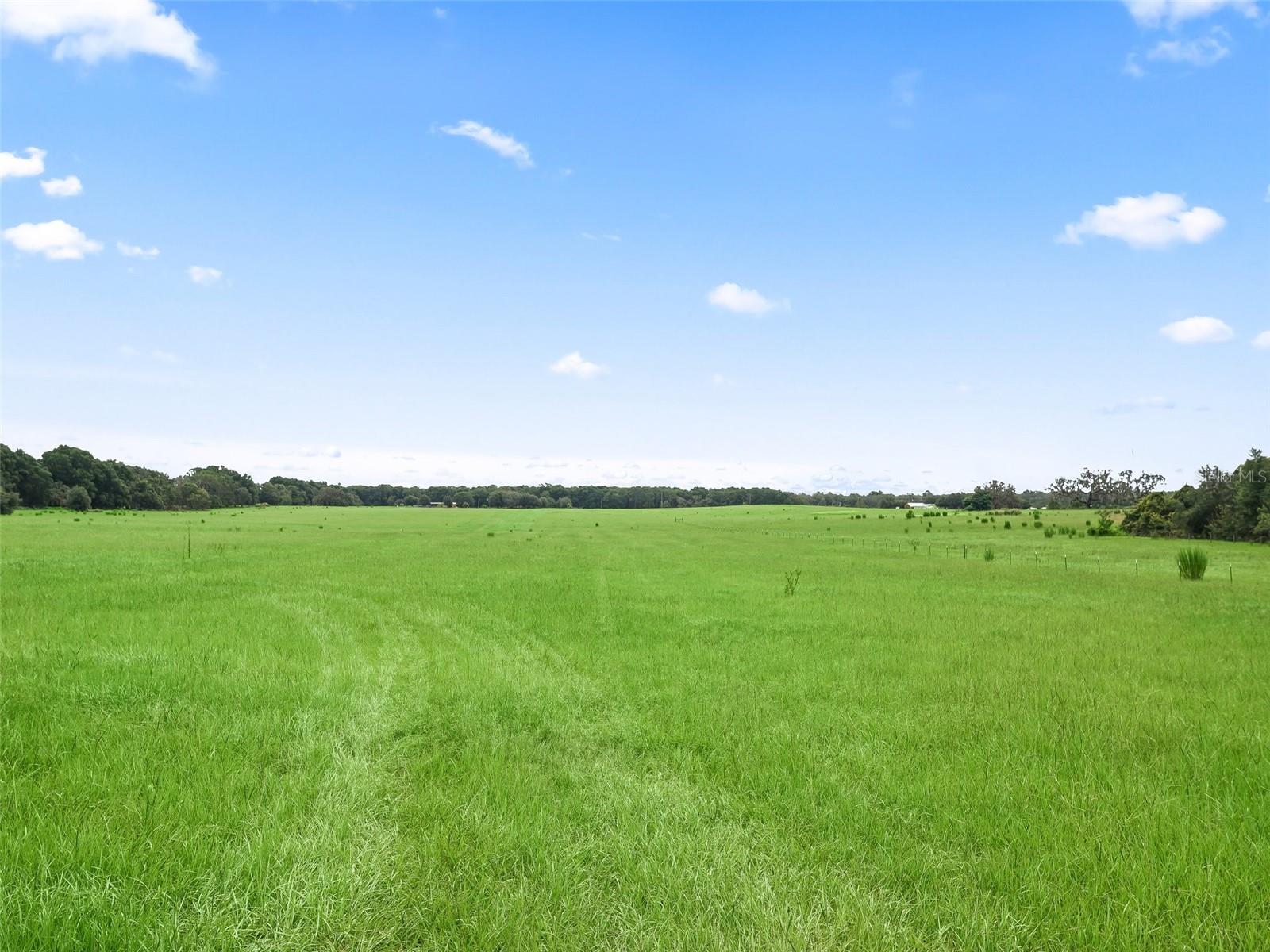 8567 CR 635, BUSHNELL, FL — photo 34