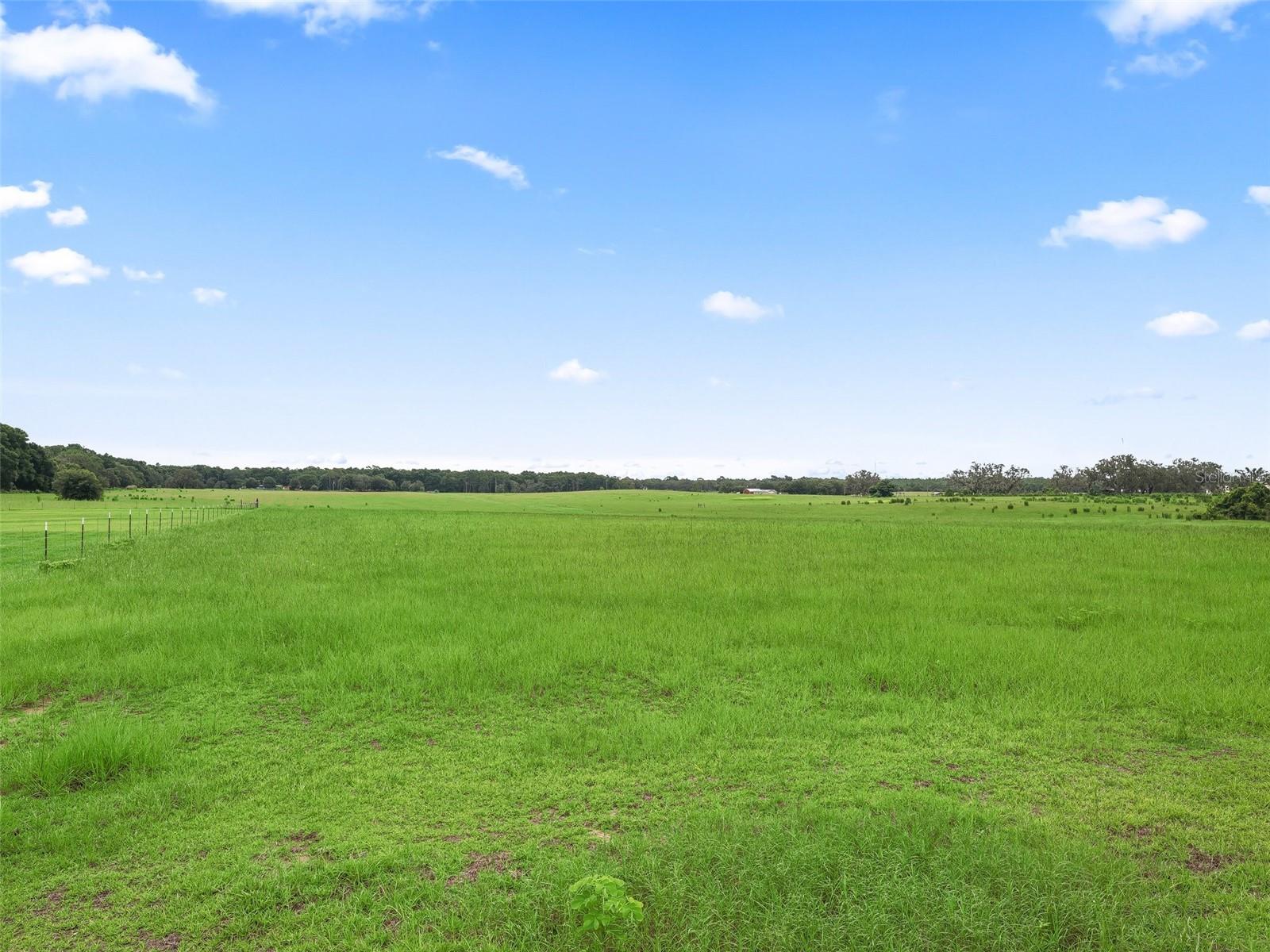 8567 CR 635, BUSHNELL, FL — photo 35