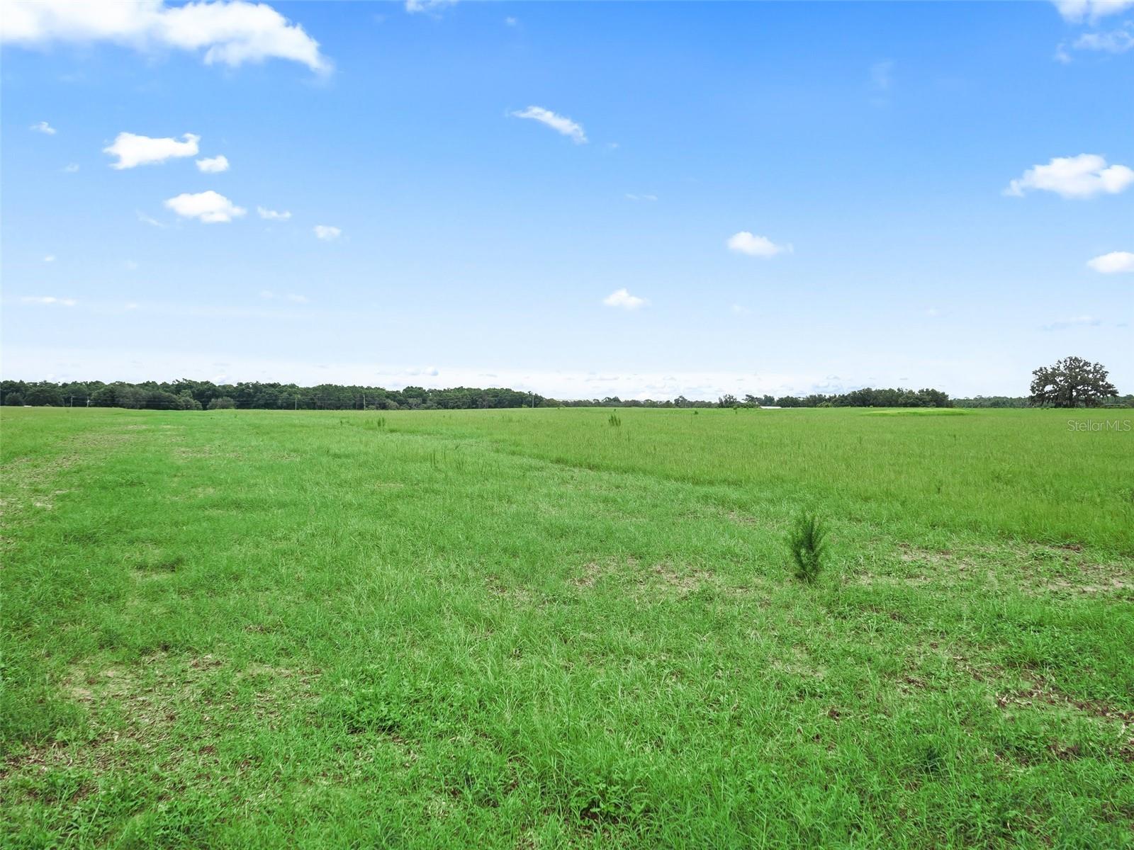 8567 CR 635, BUSHNELL, FL — photo 37
