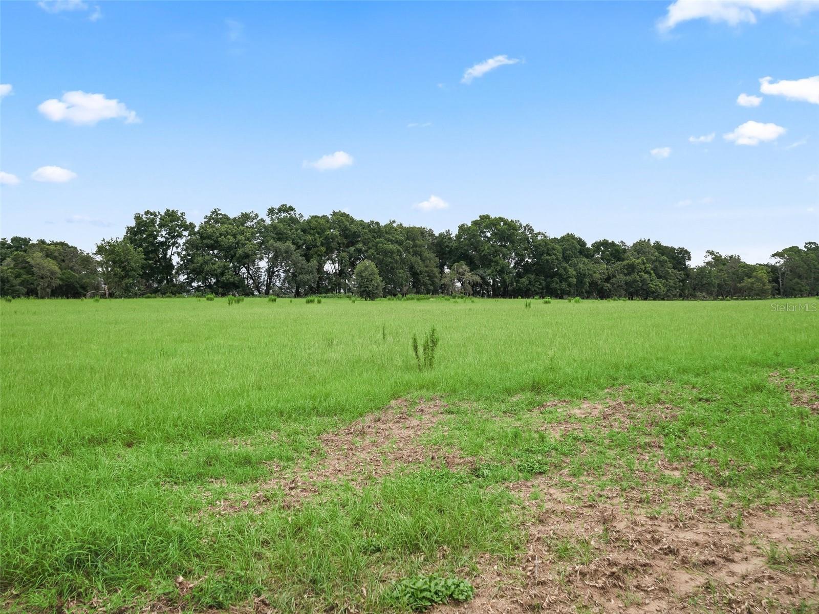 8567 CR 635, BUSHNELL, FL — photo 39